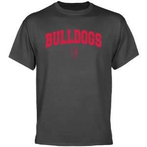 Ferris State Bulldogs Charcoal Logo Arch T shirt:  Sports 