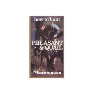  Pheasant & Quail Video