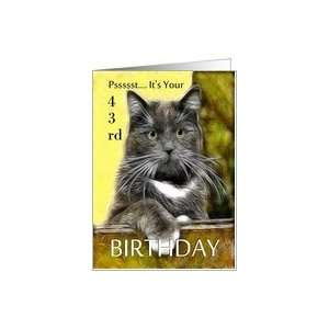  Birthday ~ Age Specific 43rd ~ Cat in a box Card: Toys 
