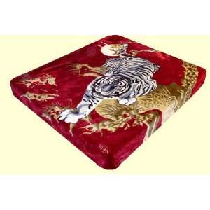  Queen Solaron Crouching Tiger Mink Blanket: Home & Kitchen