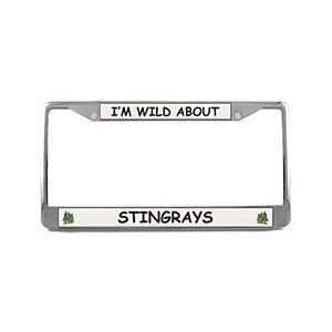  Stingray License Plate Frame: Sports & Outdoors
