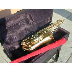  BerkeleyWind Eb Alto Saxophone Musical Instruments