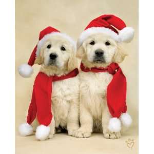  Santa Puppies Soft Fleece Christmas Throw Blanket 48x60 