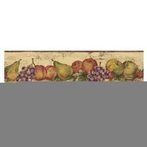  Sanitas Fruit Wallpaper Border CZ012114B: Home Improvement