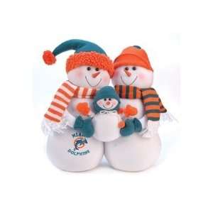  Miami Dolphins Table Top Snow Family: Sports & Outdoors
