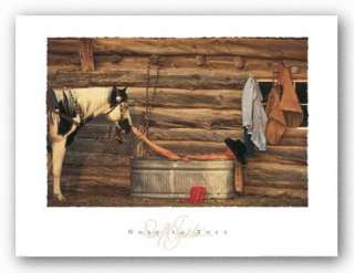 Nose To Toes by David Stoecklein COWGIRL BATH HORSE  