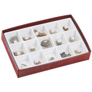 American Educational 3110 S Paleozoic Fossils Collection  
