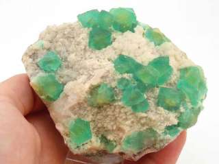   grün Calcit fluorite (UV blau) calcite ( UV kw rot) Daye China  