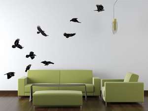   Wall Vinyl Decal, Raven, Crow, bird, poster,rooks, Jays, flock  