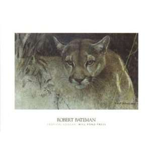   Cougar Finest LAMINATED Print Robert Bateman 24x18