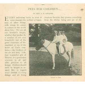    1905 Pets For Children Pony Horse Dog Bird: Everything Else