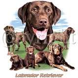 Chocolate Lab Labrador Lawn Dog T Shirt S  6x  