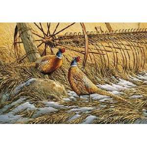  Rosemary Millette   Heartland   Pheasants