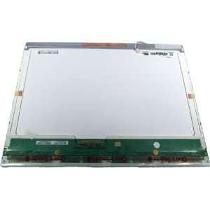  Dell Inspiron 1150 15 XGA display panel assembly   P5575 