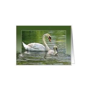  swan water birthday daughter Card Toys & Games