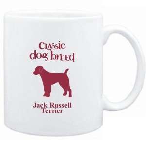    Classic Dog Breed Jack Russell Terrier  Dogs