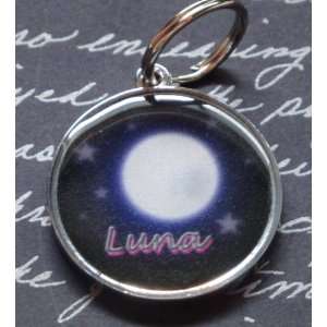  Stars and Moon Pet Tag   Luna 