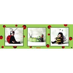  Tom Arma   Baby Bugs Canvas: Home & Kitchen