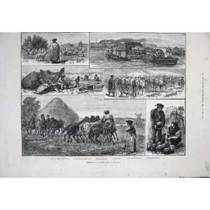  1883 Peasant Life Hungary Hungarian Shepherd Danube