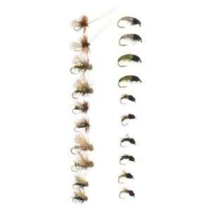 White River Fly Shop 20 Piece Caddis Life Cycle Assortment  