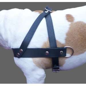 High Quality Genuine Black Leather Dog Pulling Walking Harness Large 