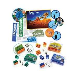  Animal Tracks Activity Set and Stamps: Toys & Games