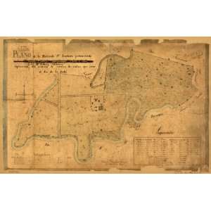  1828 map of Haciendas, Puerto Rico, Bayamon