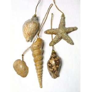  Set of 5 Resin Seashell Christmas or Hanging Ornaments   1 