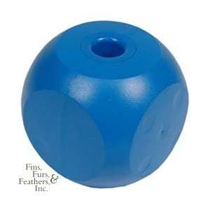   VT42000 4.75 in. Buster Cube Dog Exerciser Toy: Pet Supplies