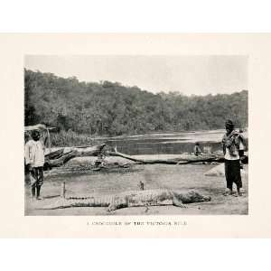  Print Victoria Lake White Nile Crocodile Uganda Congo Kenya River 