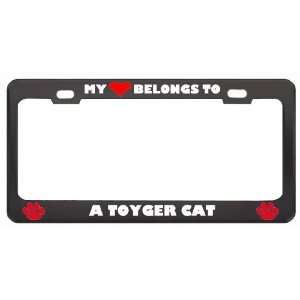 My Heart Belongs To A Toyger Cat Animals Pets Metal License Plate 