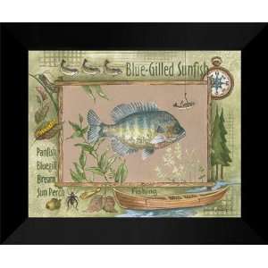   FRAMED Print 15x18 Blue Gilled Sunfish 