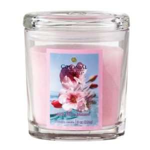   of 4 Oval Pink Cherry Blossom Aromatic Candles 8oz: Home & Kitchen