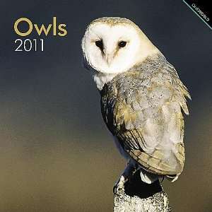  Owls 2011 Wall Calendar: Office Products