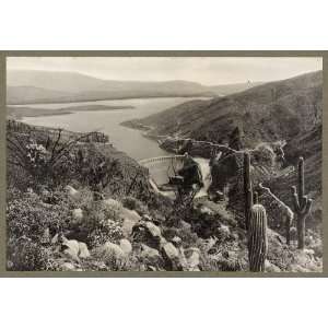  Theodore Roosevelt Dam,lake,cacti,Arizona,c1911