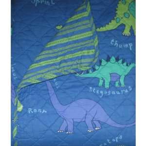  2pc Boy Green Blue Dinosaur Twin Comforter/Quilt and Sham 
