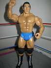 WWE Bruno Samartino wrestling figure Classic Superstars lot of 1 nwa 
