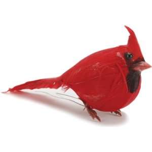  Feather Birds 3.5 Red Fat Cardinal