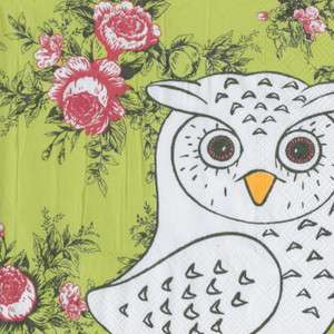 20 Urban Fun Collection Owl on Stage Green Floral Party Lunch Dinner 