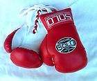 Kid Youth SOLO Boxing Gloves Cleto Reyes Everlast Grant