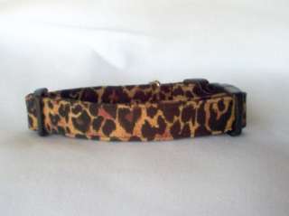 Designer Diva Cheetah Dog Collar Size X Small   Large  