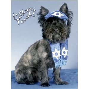  Pet Star Jewish New Year Cards   Cairn Terrier Pet Star 
