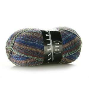  Zitron Trekking Color XXL Sock Yarn SW Wool/Nylon