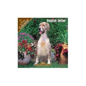   Setter 2008 16 Month Wall Calendar **IN STOCK NOW**