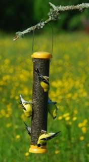   finch bird feeder goldfinches will feed upside down but house finches