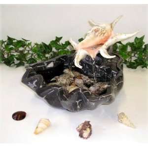  Neptune Spider Shell and Marble Table Fountain Kitchen 