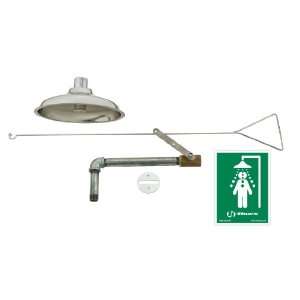   Flush to ceiling drench shower with pull rod. 8169