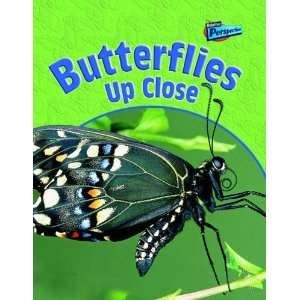  Butterflies Up Close (Perspectives Minibeasts 
