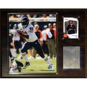  Chicago Bears Julius Peppers 12x15 Player Plaque: Sports 
