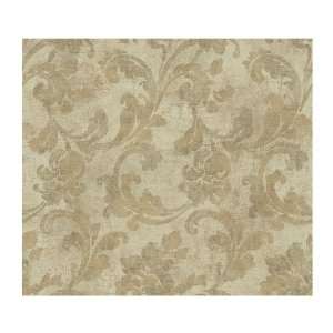  York Wallcoverings PS3901 Wind River Scrolling Acanthus on 